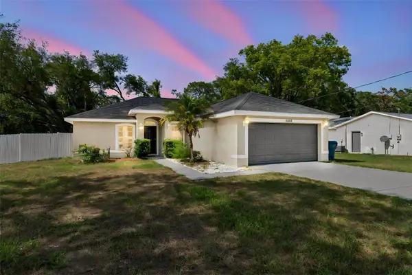 6163 Piedmont Drive, SPRING HILL, FL 34606