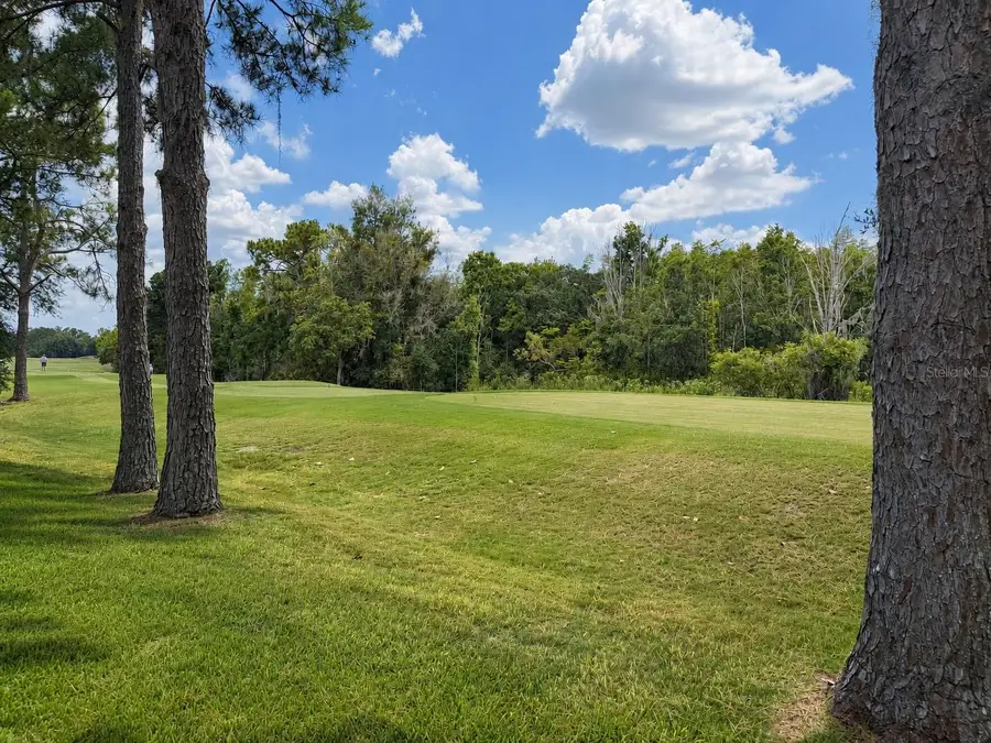 17422 Heather Oaks Place, Tampa, FL 33647 - #3