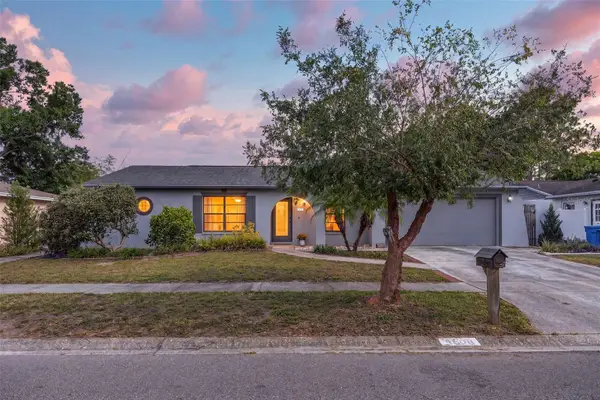 4608 Southbreeze Drive, TAMPA, FL 33624