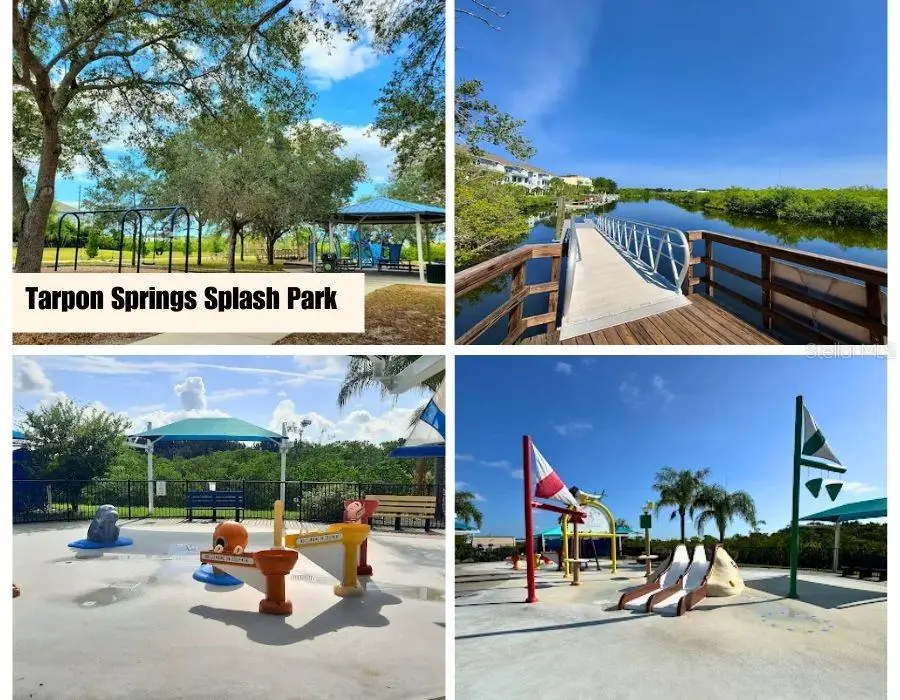 1650 Bold Lane, Holiday, FL 34691 - #3