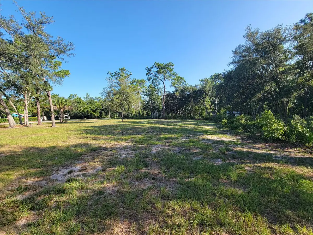 2075 S Colonial Avenue, Homosassa, FL 34448 - #1