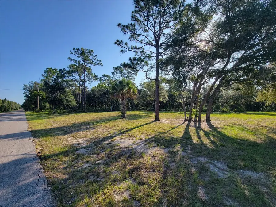2075 S Colonial Avenue, Homosassa, FL 34448 - #2