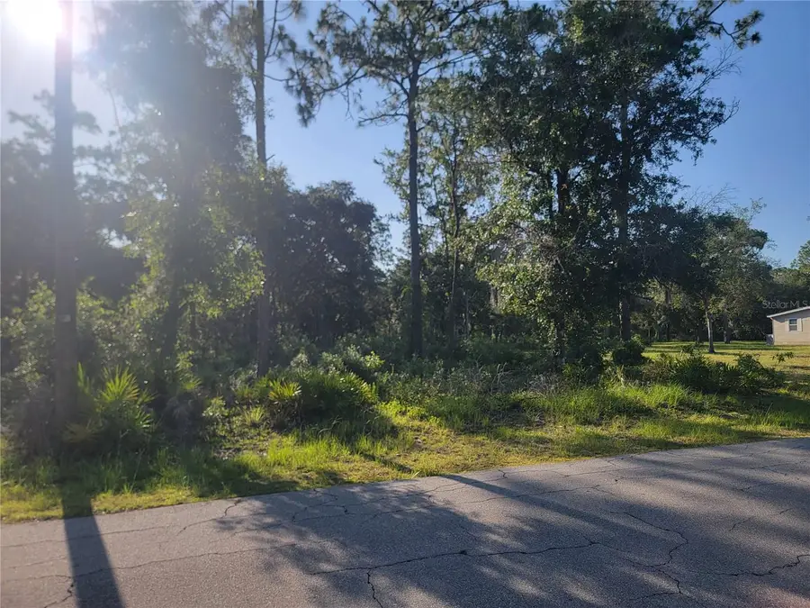 2075 S Colonial Avenue, Homosassa, FL 34448 - #3