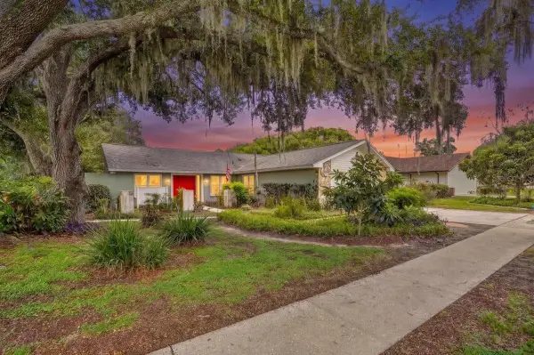 1013 Black Knight Drive, VALRICO, FL 33594