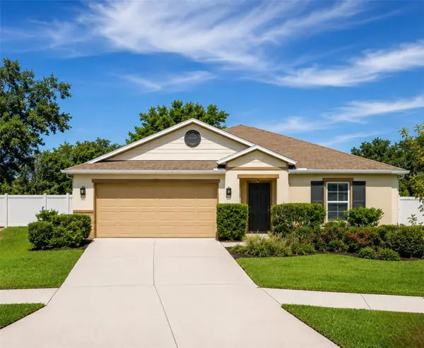 10539 Laguna Plains Drive, RIVERVIEW, FL 33578