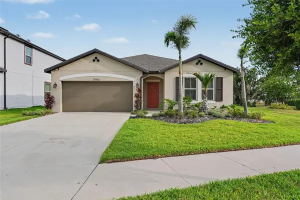 13456 Palmera Vista Drive, RIVERVIEW, FL 33579