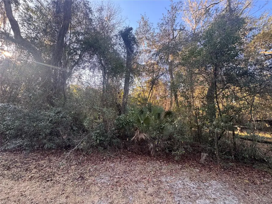 0 198th Lane, Fort McCoy, FL 32134 - #2