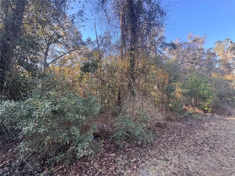 0 198th Lane, Fort McCoy, FL 32134 - #3