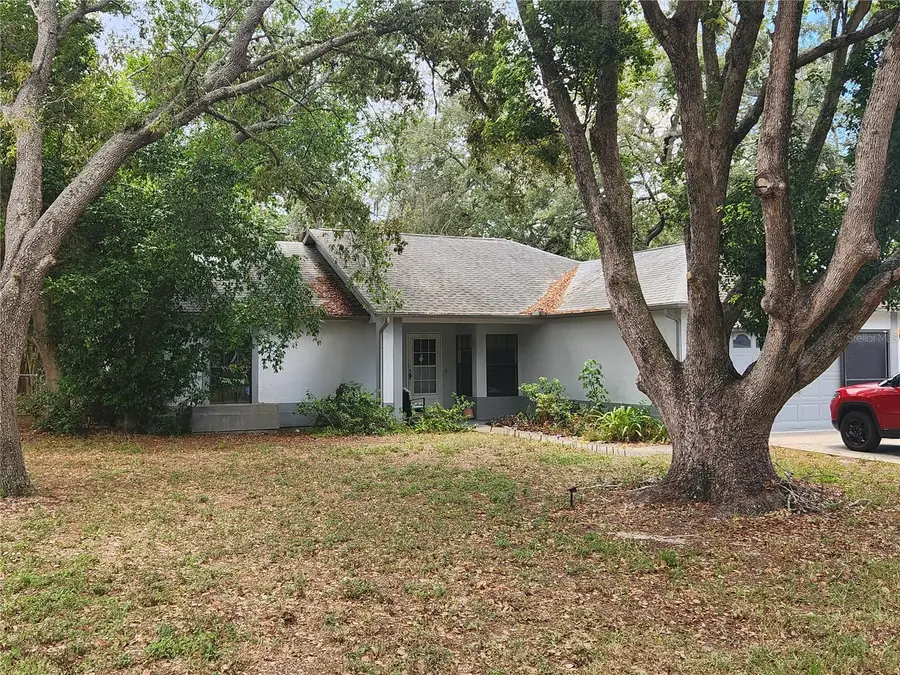 6202 Piedmont Drive, Spring Hill, FL 34606 - #2