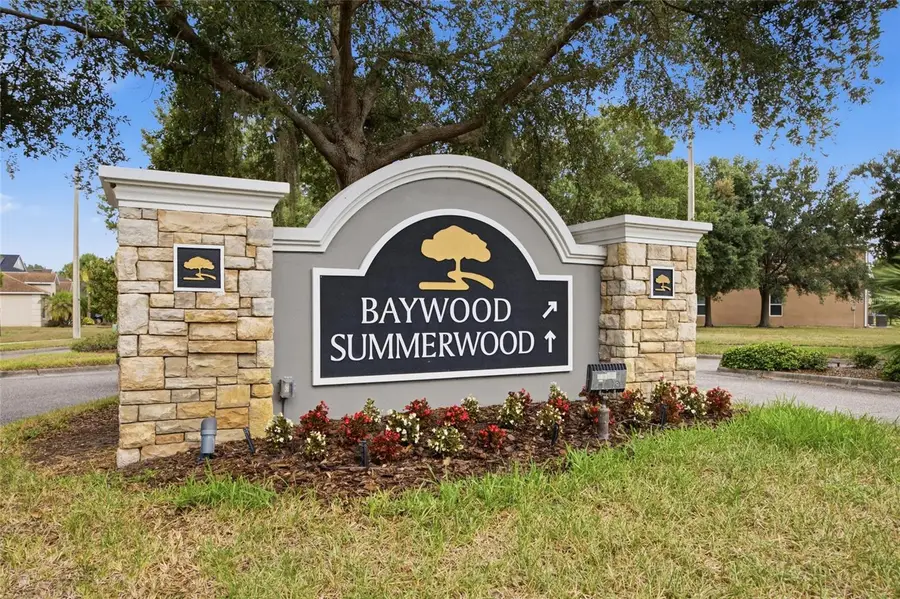 6924 Towering Spruce Drive, Riverview, FL 33578 - #2