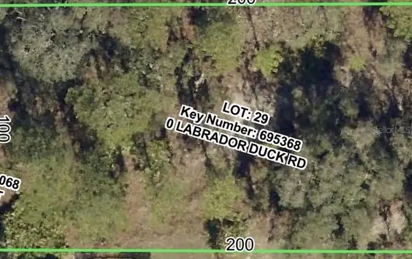 Labrador Duck Rd, WEEKI WACHEE, FL 34614