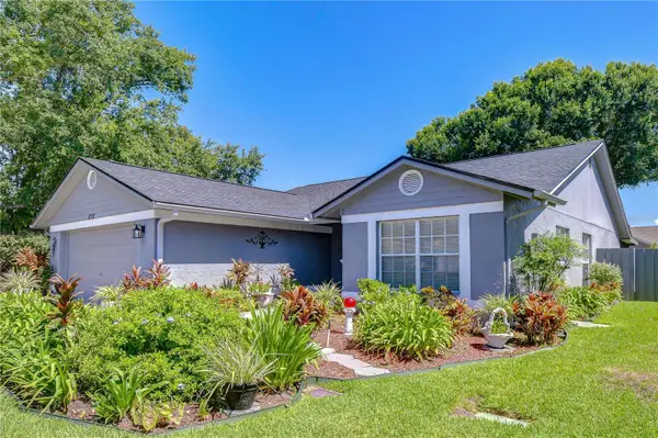8702 Hampden Drive, TAMPA, FL 33626