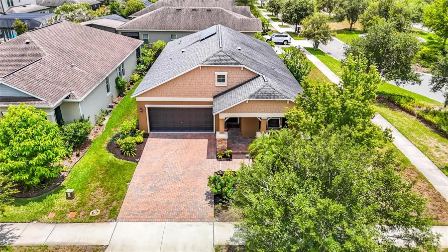 17488 Terrazzo Way, Land O Lakes, FL 34638 - #2