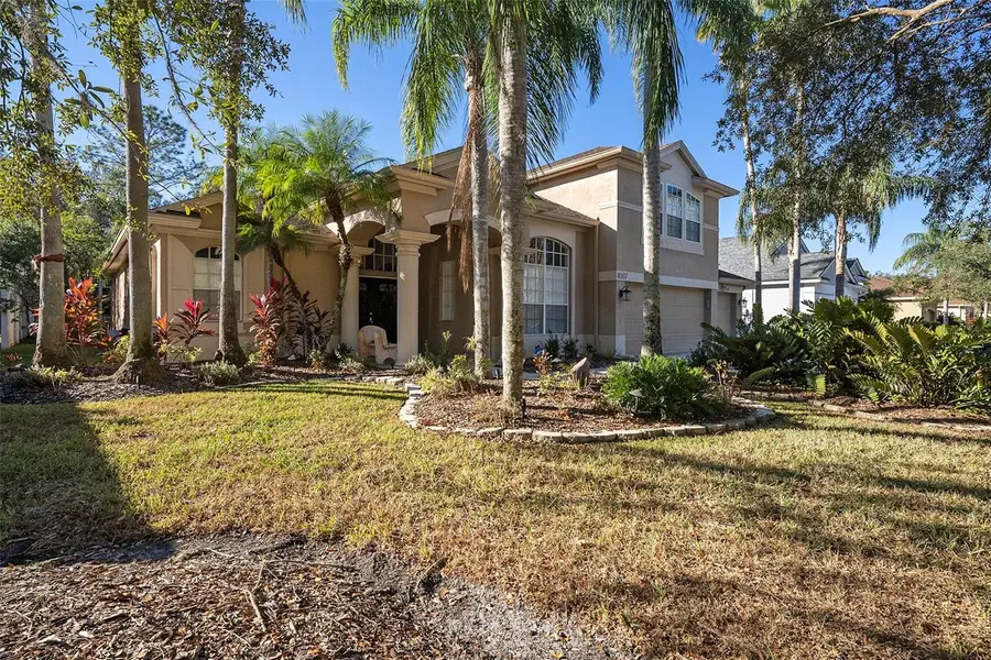 8507 Portage Avenue, Tampa, FL 33647 - #3