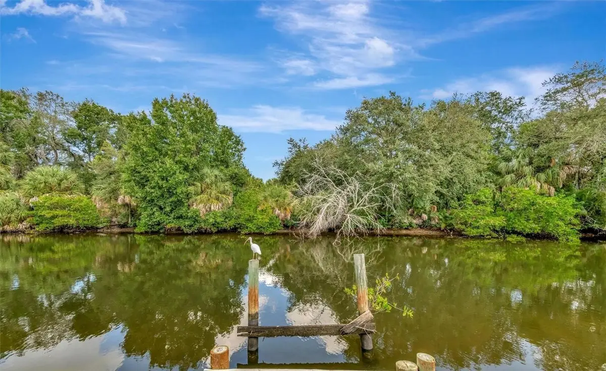 236 N Saint Thomas Circle, Apollo Beach, FL 33572 - #1