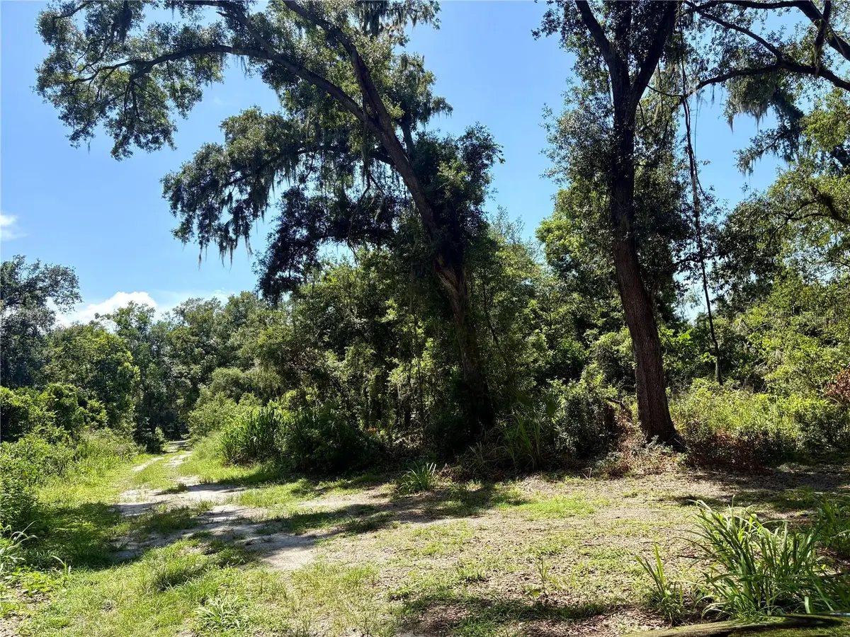 Sydney Washer Road, Dover, FL 33527 - #1