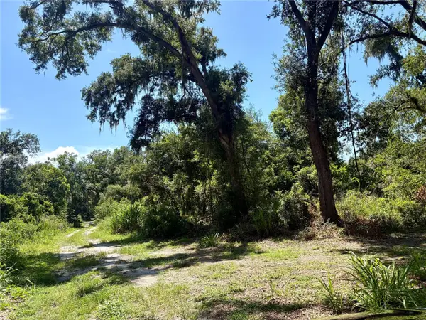 Sydney Washer Road, DOVER, FL 33527