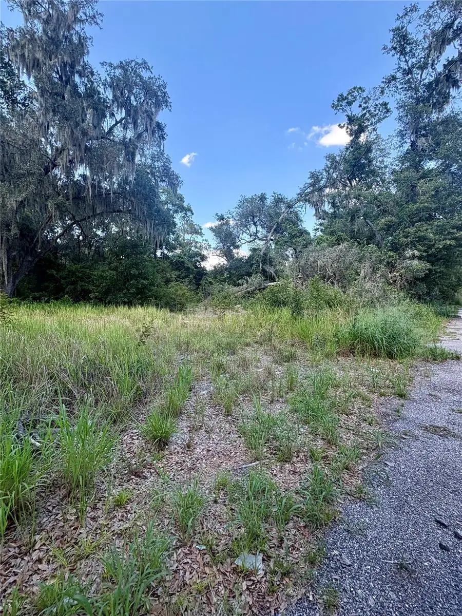 Sydney Washer Road, Dover, FL 33527 - #2