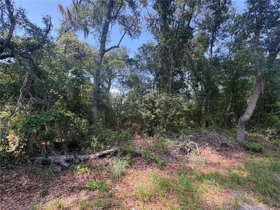 Sydney Washer Road, Dover, FL 33527 - #3