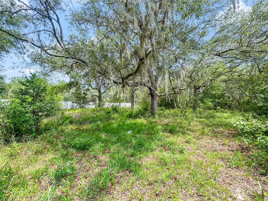 23162 SW Neptune Boulevard, Dunnellon, FL 34431 - #3