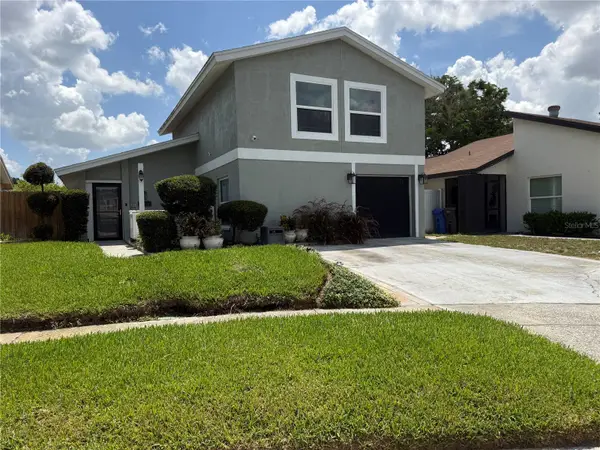 10009 Regal Woods Lane, TAMPA, FL 33624