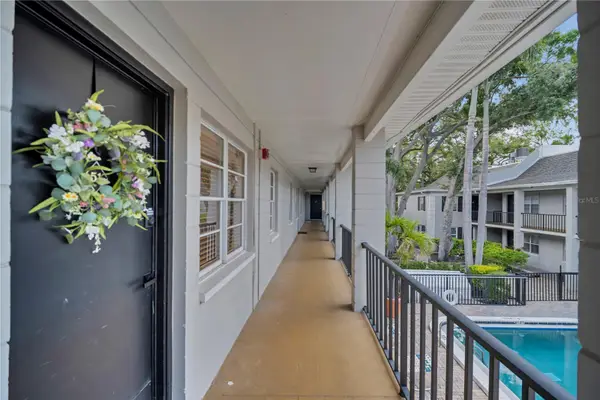 5221 Bayshore Boulevard #51, TAMPA, FL 33611