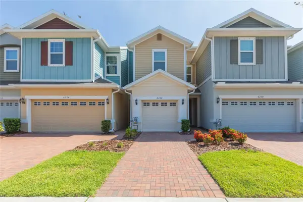 6256 Camino Drive, APOLLO BEACH, FL 33572