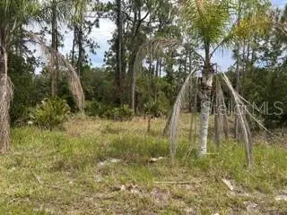 823 Pandora (blk 217 Lot 13) Drive, INDIAN LAKE ESTATES, FL 33855