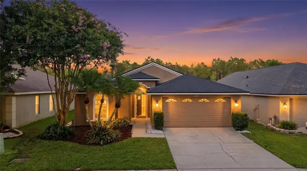 4510 New Dawn Court, LUTZ, FL 33558