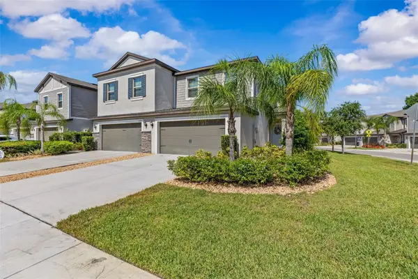 1603 Roseville Street, LUTZ, FL 33549