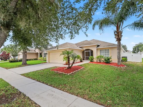 2620 Buckhorn Preserve Boulevard, VALRICO, FL 33596