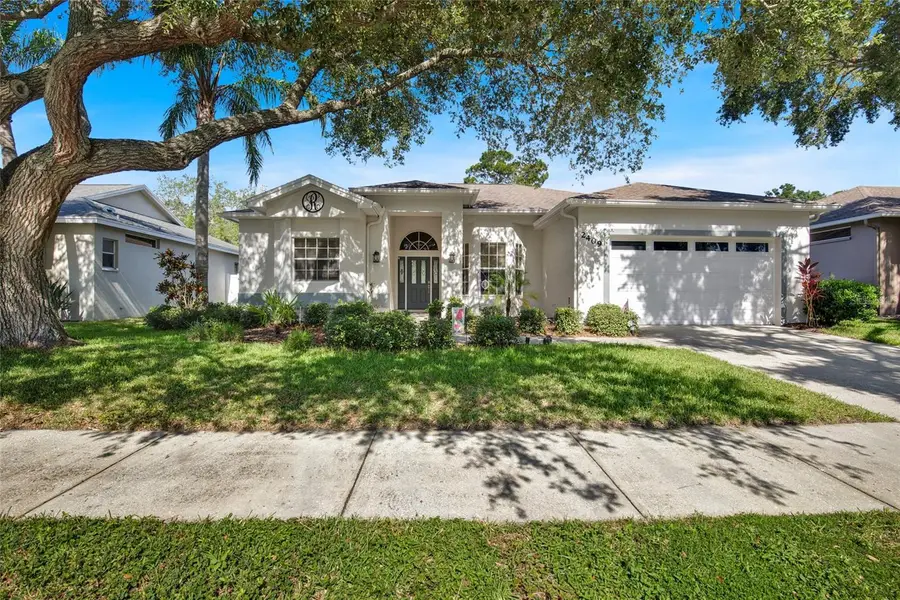 2409 Dana Drive, Safety Harbor, FL 34695 - #3