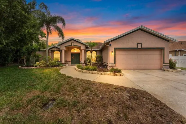22804 Willow Lakes Drive, LUTZ, FL 33549