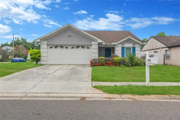 5055 Cypress Trace Drive, TAMPA, FL 33624