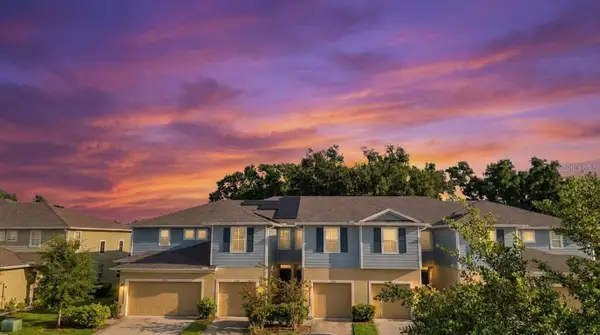 2160 Laceflower Drive, BRANDON, FL 33510