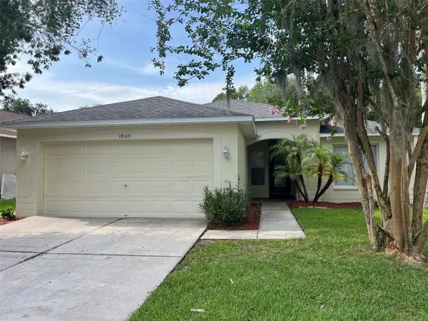18169 Sandy Pointe Drive, TAMPA, FL 33647