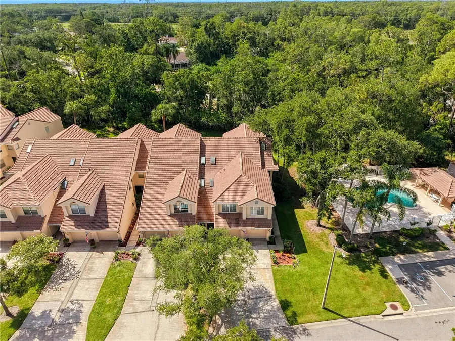 215 Clays Trail, Oldsmar, FL 34677 - #2