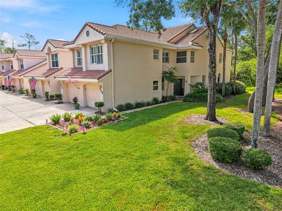 215 Clays Trail, Oldsmar, FL 34677 - #3