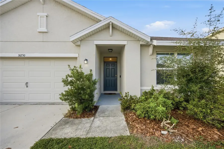 36250 Jenny Lynne Circle, Zephyrhills, FL 33541 - #3