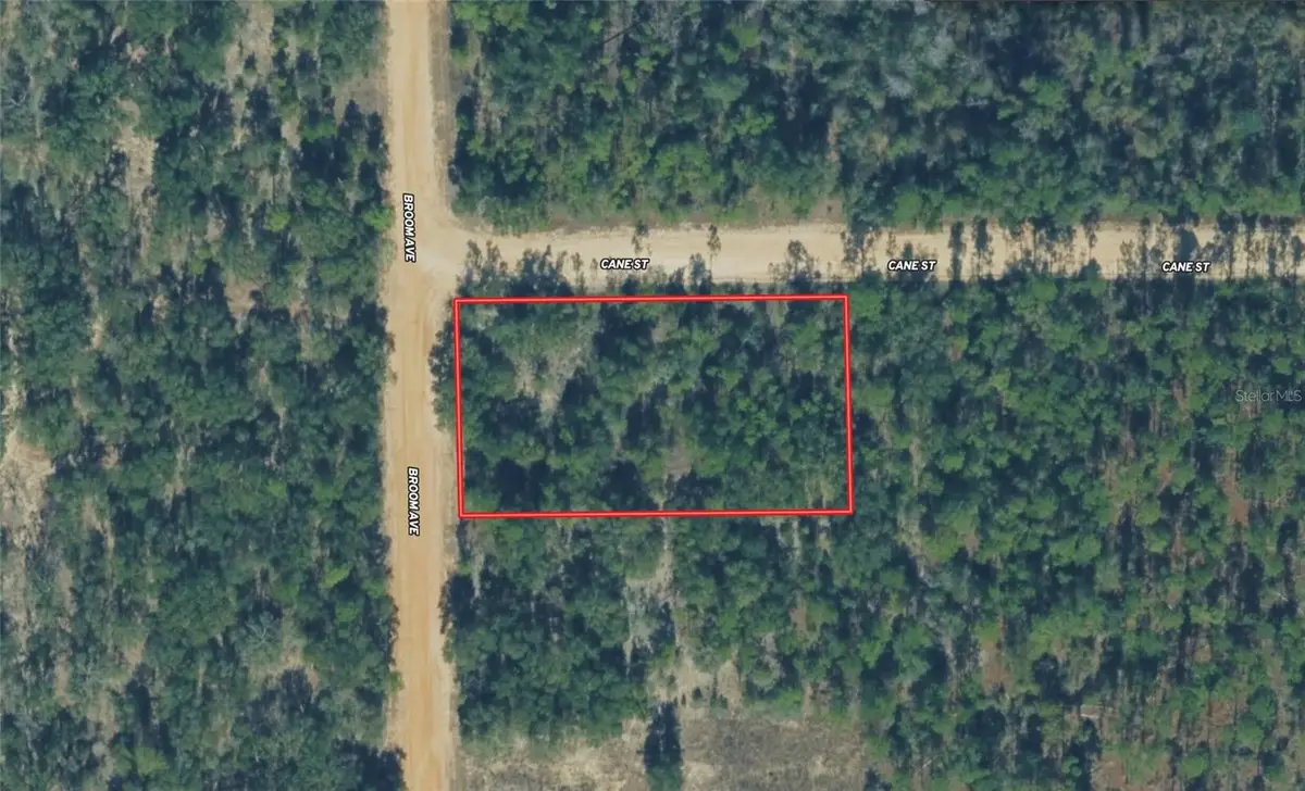 Broom Avenue, Marianna, FL 32448 - #1
