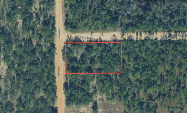 Broom Avenue, MARIANNA, FL 32448