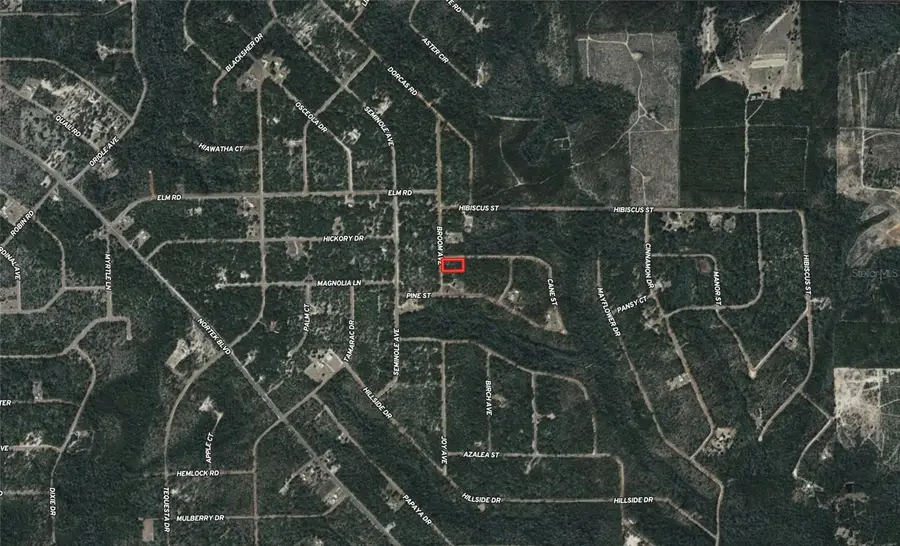 Broom Avenue, Marianna, FL 32448 - #3
