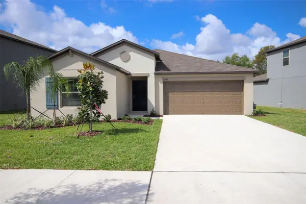 10347 Alder Green Drive, RIVERVIEW, FL 33578