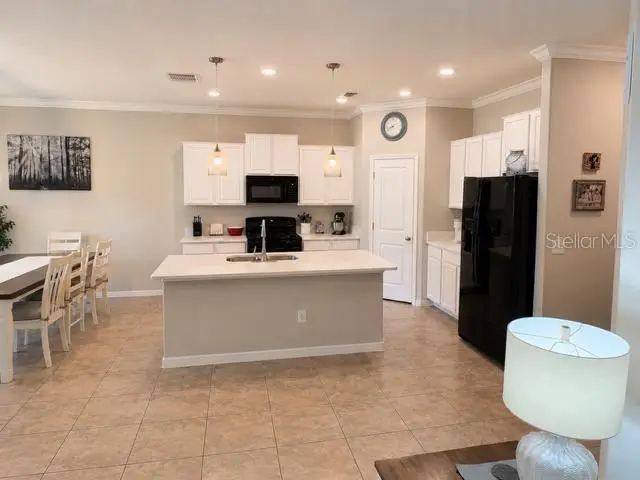 8913 Flourish Drive, Land O Lakes, FL 34637 - #3