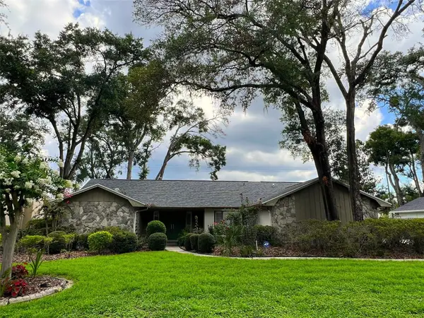 6328 N Queensway Drive, TAMPA, FL 33617