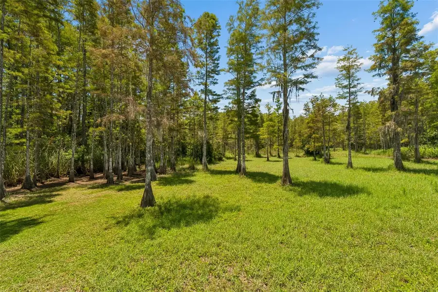 2154 Ground Squirrel Drive, New Port Richey, FL 34655 - #3