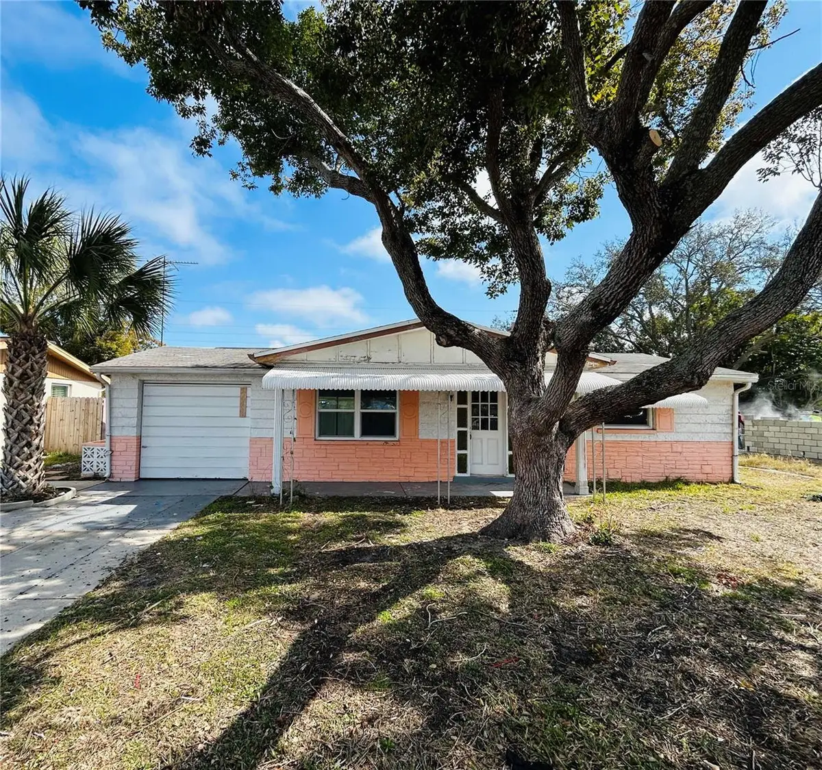 2412 Arcadia Road, Holiday, FL 34690 - #1