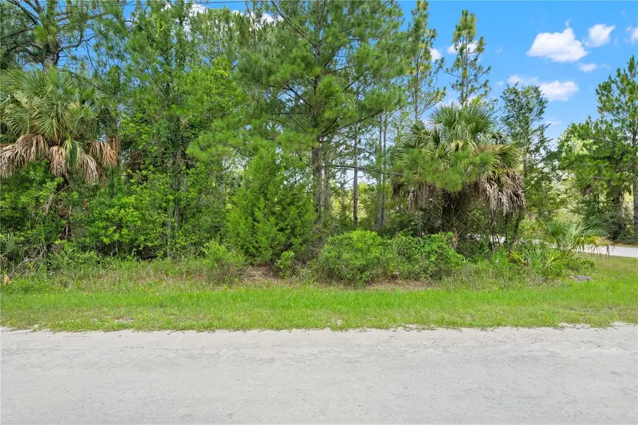 Ramsey Road #16, Weeki Wachee, FL 34614 - #2