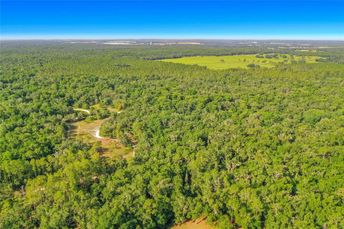 33099 Coral Rock Drive, Webster, FL 33597 - #1