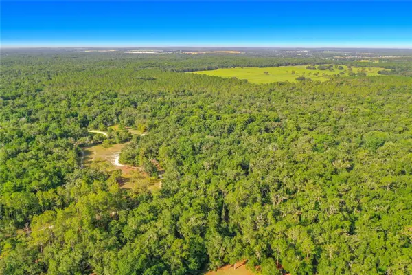 33099 Coral Rock Drive, WEBSTER, FL 33597